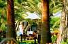 Magic Life Kemer Imperial 